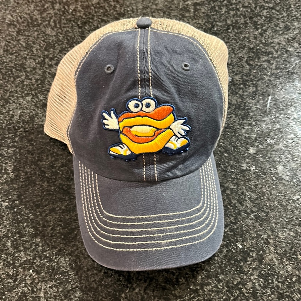 Montgomery biscuits MILB trucker snapback hat
